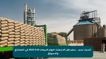 تحديث جديد.. سعر طن الأسمنت اليوم الأربعاء 24-9-2025 في المصانع والأسواق